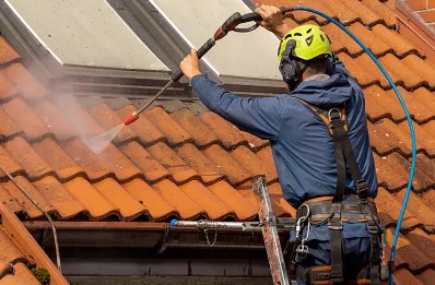 Démoussage et hydrofuge de toiture au Roulier